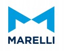 Magneti Marelli 351991717080 Outside mirror driver s cab Installation side right