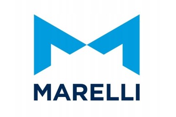 Magneti Marelli 351991717080 Outside mirror driver s cab Installation side right