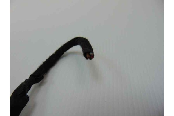 4F0880442B  AIRBAG LATERAL TRASERO DERECHO AUDI A6 BERLINA (4F2) 3.0 TDI Quattro (165kW) 2004 4F0880442B 187105 AUDI - 5