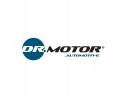 DR MOTOR AUTOMOTIVE PISTON WITH RINGS FORD TRANSITT 2 0 DIESEL Car type buses cargo vans passenger cars