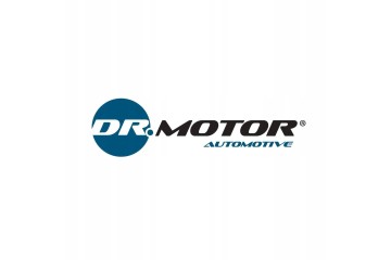 DR MOTOR AUTOMOTIVE PISTON WITH RINGS FORD TRANSITT 2 0 DIESEL Car type buses cargo vans passenger cars