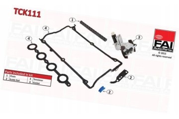 Timing chain kit FAI TCK111