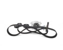 1987948878 timing belt kit VW T4 2 5TDI Car type cargo vans passenger cars