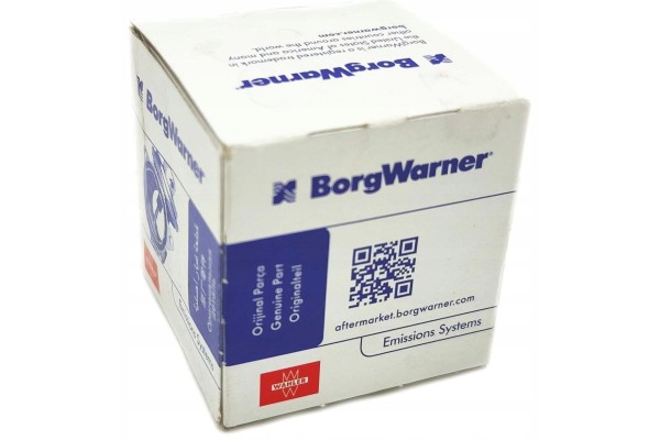AGR BorgWarner valve Wahler 710095D