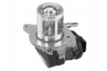 AGR BorgWarner valve Wahler 710095D Part manufacturer Wahler
