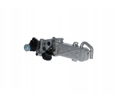 NRF 48213 EGR module
