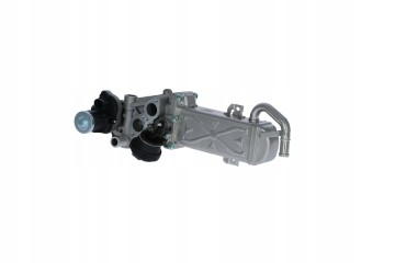 NRF 48213 EGR module