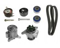 TIMING SET WATER PUMP 530 0764 31 INA