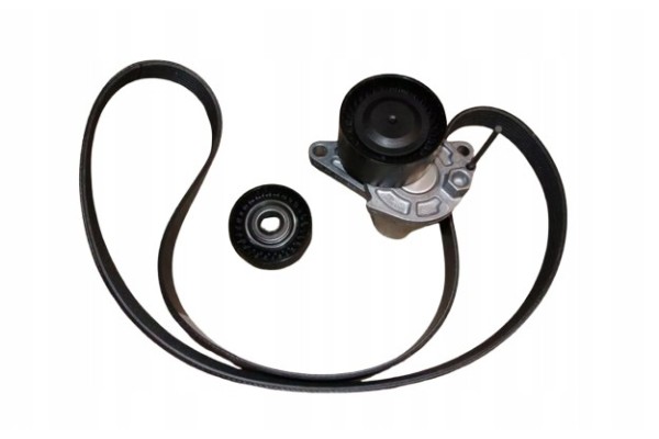 Drive Belt Renault 1 6Dci 117207253R Original