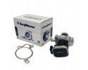 Wahler 7610D Valve AGR