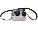 Drive Belt Renault 1 6Dci 117205040R Original