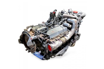 81005016299 MAN Engine Part manufacturer MAN OE