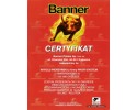 BATTERY 110AH 850 P POWER BULL PROFESSIONAL Part manufacturer Banner