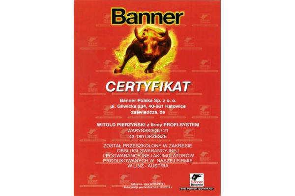 BATTERY 110AH 850 P POWER BULL PROFESSIONAL Part manufacturer Banner