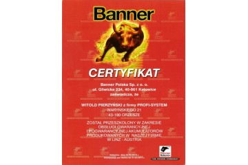 BATTERY 110AH 850 P POWER BULL PROFESSIONAL Part manufacturer Banner