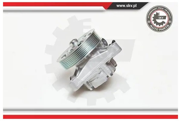 POWER STEERING PUMP 10SKV076 ESEN SKV Packaging status original