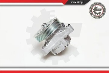 POWER STEERING PUMP 10SKV076 ESEN SKV Packaging status original