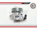 POWER STEERING PUMP 10SKV076 ESEN SKV Part manufacturer ESEN SKV