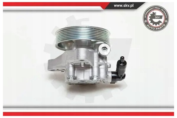 POWER STEERING PUMP 10SKV076 ESEN SKV Part manufacturer ESEN SKV