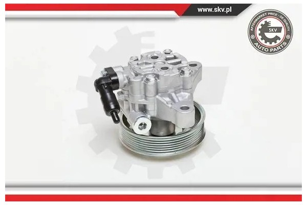 POWER STEERING PUMP 10SKV076 ESEN SKV Catalog number of the part 10SKV076