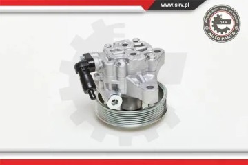 POWER STEERING PUMP 10SKV076 ESEN SKV Catalog number of the part 10SKV076
