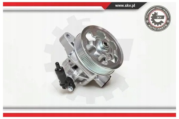 POWER STEERING PUMP 10SKV076 ESEN SKV Car type passenger cars