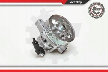 POWER STEERING PUMP 10SKV076 ESEN SKV Car type passenger cars