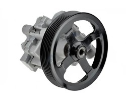 ASSIST PUMP SPW CH 020 NTY