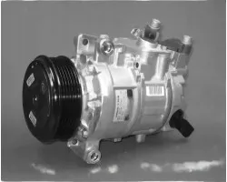 Compresor de Aire Acondicionado DCP02052 Denso