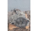 TOYOTA AVENSIS T25 1 8 vvti GEARBOX 1 YEAR Gw