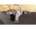 SUZUKI GRAND VITARA II 2 0B BRIDGE DYFER MANUAL 305F14031