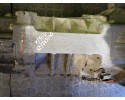 Transmission LEXUS IS I 200 2 0 B 00r Transmission type manual