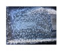 Diferencial trasero Mercedes-Benz E W214 2024 A2063510200
