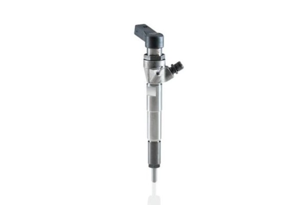 BOSCH 0 445 110 646 Injection nozzle Version European