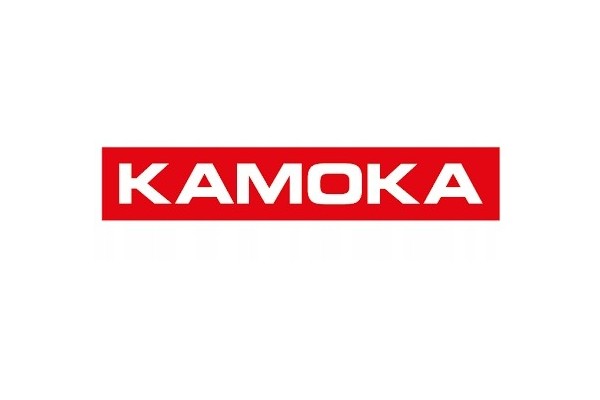 GEAR STEERING GEAR RENAULT MEGANE 2 SCENIC 2 SET QUALITY Part manufacturer Kamoka