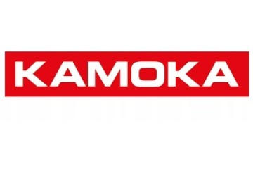 GEAR STEERING GEAR RENAULT MEGANE 2 SCENIC 2 SET QUALITY Part manufacturer Kamoka