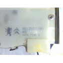 9812501180 CERRADURA PUERTA TRASERA DERECHA PEUGEOT 208 9812501180 CERRADURA PUERTA TRASERA DERECHA PEUGEOT 208