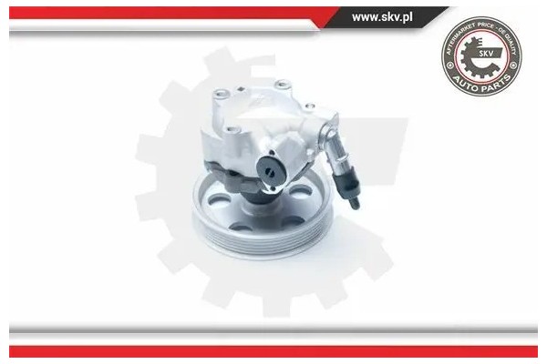 POWER STEERING PUMP 10SKV185 ESEN SKV Packaging status original