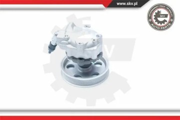 POWER STEERING PUMP 10SKV185 ESEN SKV Catalog number of the part 10SKV185