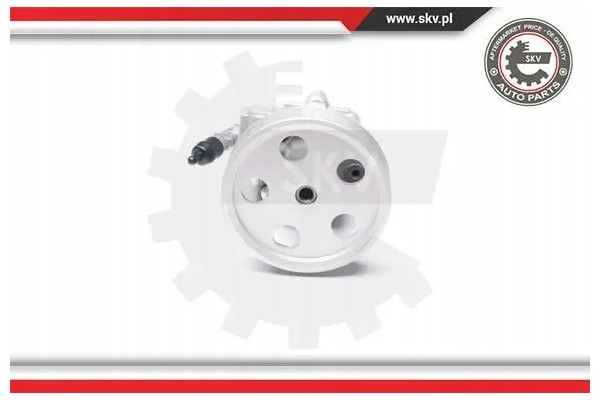 POWER STEERING PUMP 10SKV185 ESEN SKV Car type passenger cars