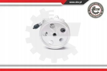 POWER STEERING PUMP 10SKV185 ESEN SKV Car type passenger cars