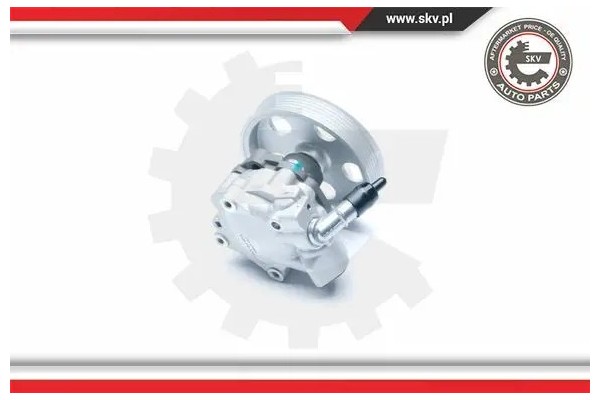 POWER STEERING PUMP 10SKV185 ESEN SKV Product weight with unit packaging 6 kg