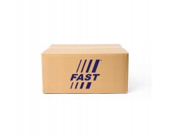 Fast FT19066 Steering gear