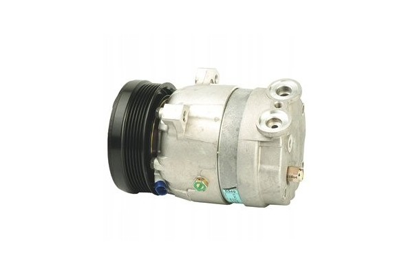 Air conditioning compressors spring DELPHI TSP0155009 Car type passenger cars