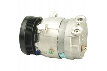 Air conditioning compressors spring DELPHI TSP0155009 Car type passenger cars