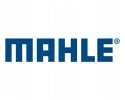 Compresor de aire acondicionado VW MAHLE ACP 110 000S