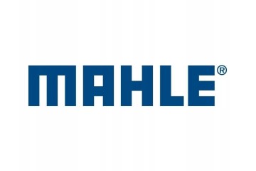 Compresor de aire acondicionado VW MAHLE ACP 110 000S