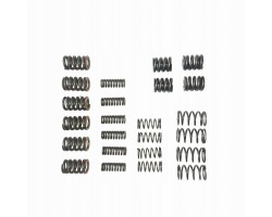 SET OF VIBRATION DAMPER SPRINGS POWERSHIFT MPS6 6DCT450 Set of 24