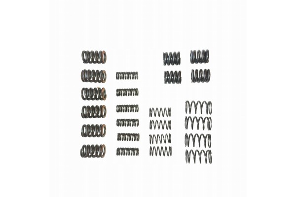 SET OF VIBRATION DAMPER SPRINGS POWERSHIFT MPS6 6DCT450 Set of 24