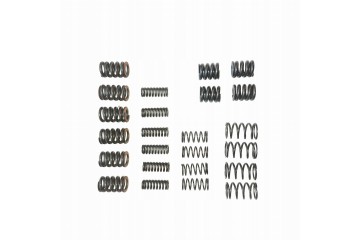 SET OF VIBRATION DAMPER SPRINGS POWERSHIFT MPS6 6DCT450 Set of 24
